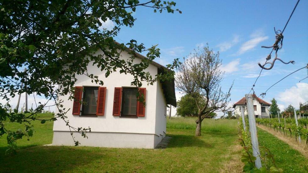 Ferienwohnung Altes Presshaus Eberau Exterior foto